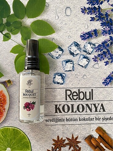 Rebul kolonya