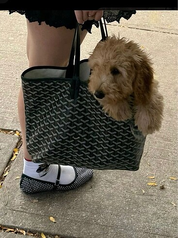 Diğer Goyard İthal