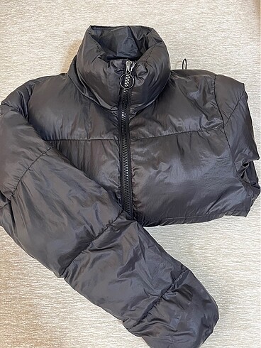 Stradivarius Mont