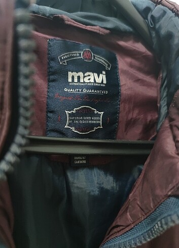 l Beden bordo Renk Mavi Erkek Bordo Mont
