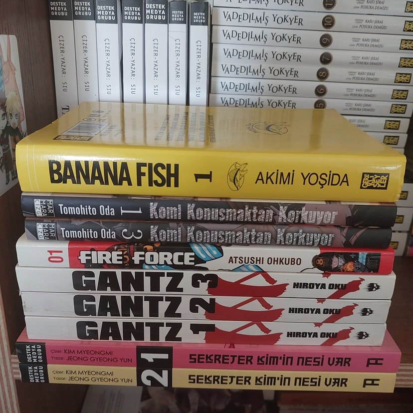 Mangalar - Görsel 2