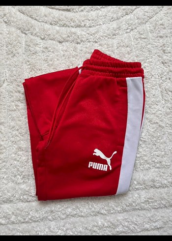 Puma s