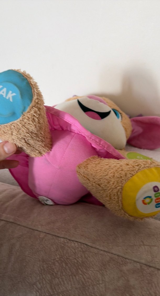 Fisher Price Gelişim Eğitici Kardeş Köpekçik - Görsel 3