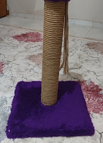 Kedi tırmalama ağacı