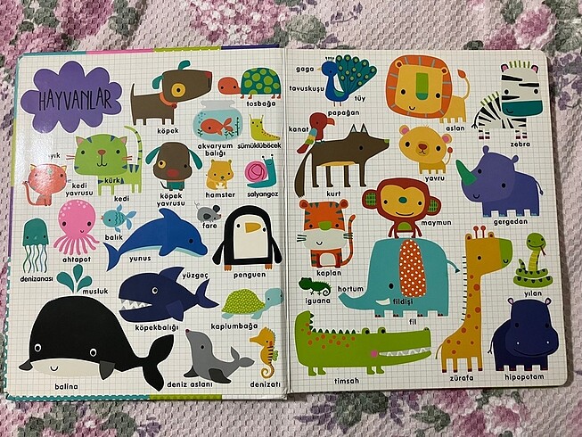 İlk kelimeler kitabı - Görsel 3