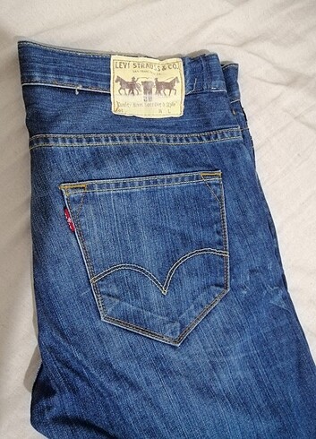 Levis 504 kot