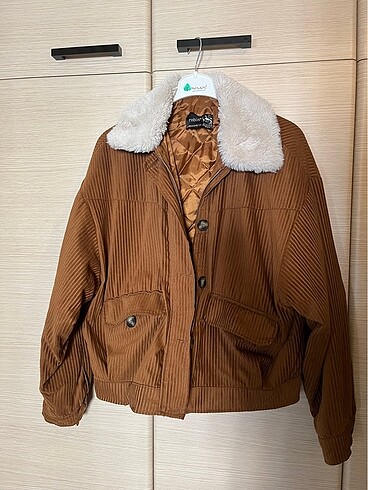 Robin Camel mont