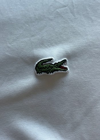 Lacoste Beyaz Erkek Tişört - Görsel 3