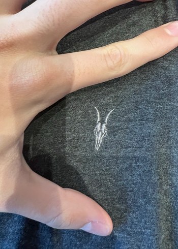 Allsaints Gri Kapüşonlu Fermuarlı Sweatshirt - Görsel 2