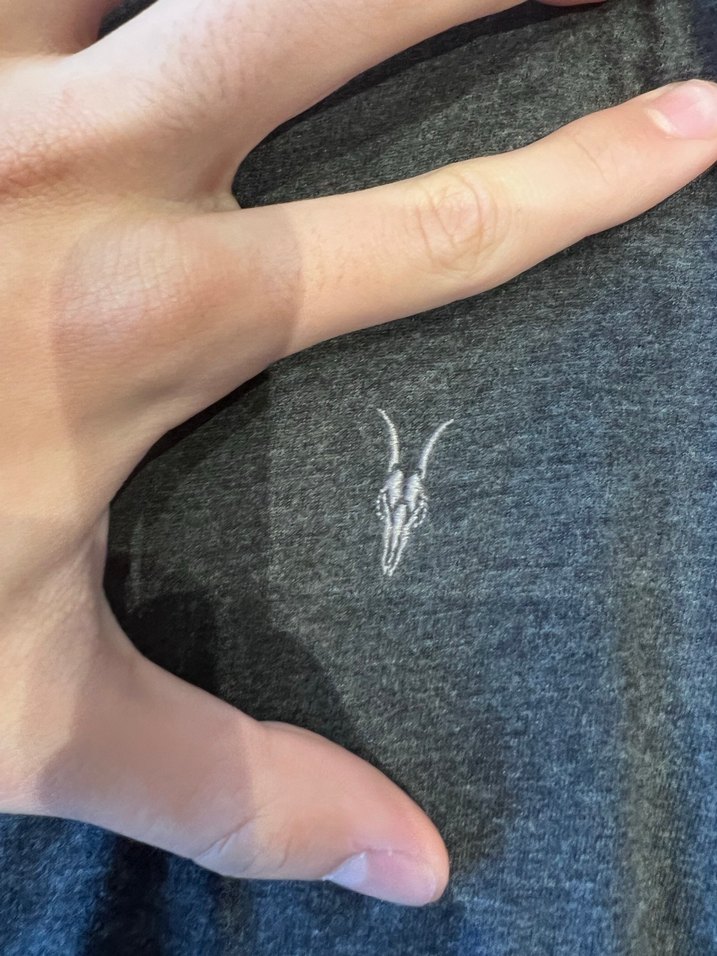 Allsaints Gri Kapüşonlu Fermuarlı Sweatshirt - Görsel 2