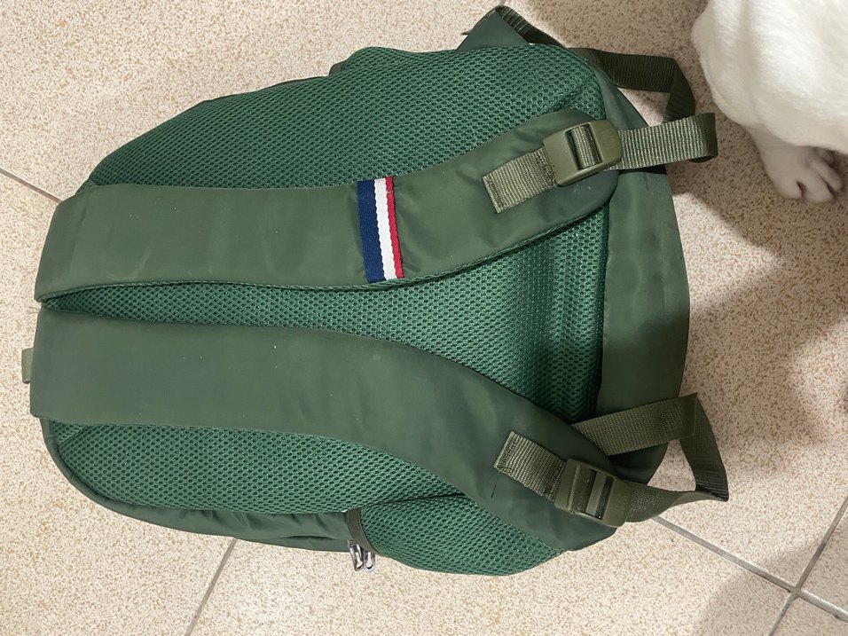 US Polo Assn. Yeşil  sırt Çantası - Görsel 4