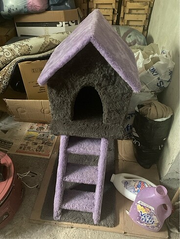 kedi evi