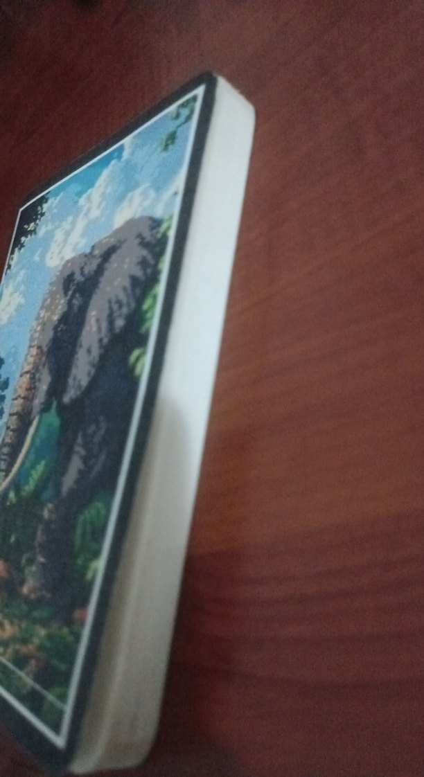 PIXEL Fil Temalı defter - Görsel 2