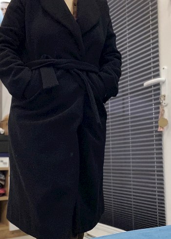 Siyah Kuşaklı Kaban - Görsel 3