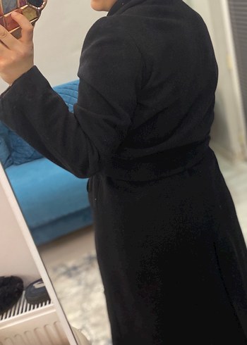 Siyah Kuşaklı Kaban - Görsel 7