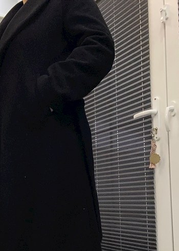 Siyah Kuşaklı Kaban - Görsel 6