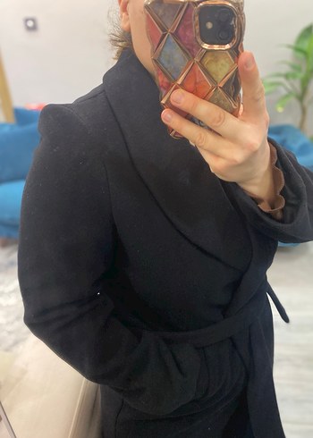 Siyah Kuşaklı Kaban - Görsel 5