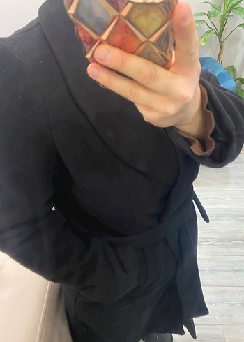 Siyah Kuşaklı Kaban - Görsel 4