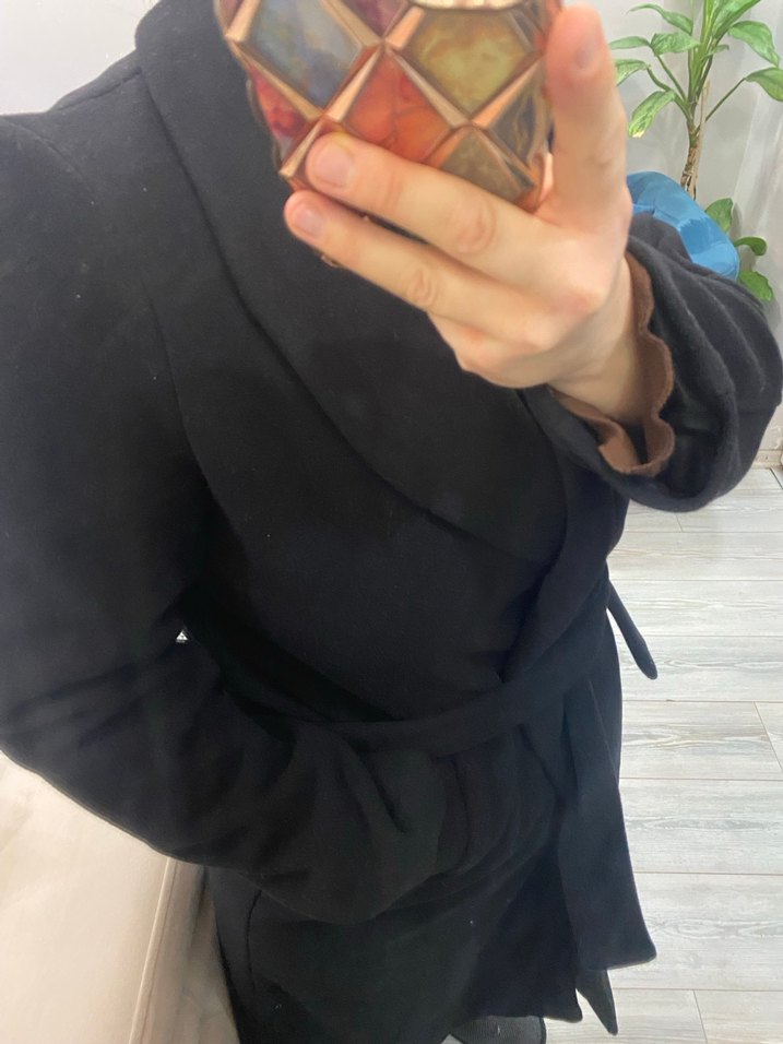 Siyah Kuşaklı Kaban - Görsel 4