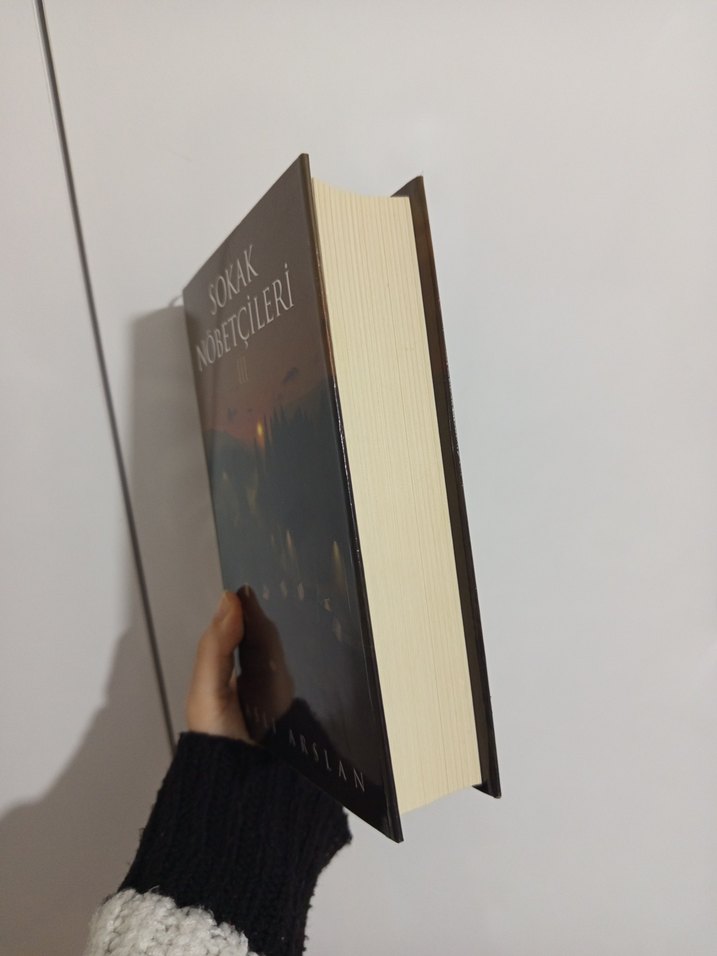 Aslı Arslan - Sokak Nöbetçileri III-IV - Görsel 3