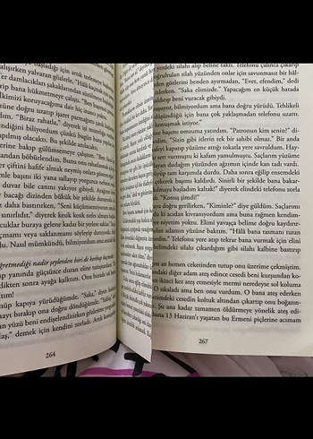 Saka ve Sanrı - Maral Atmaca - Görsel 5