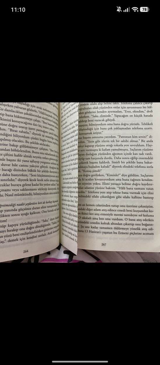 Saka ve Sanrı - Maral Atmaca - Görsel 5