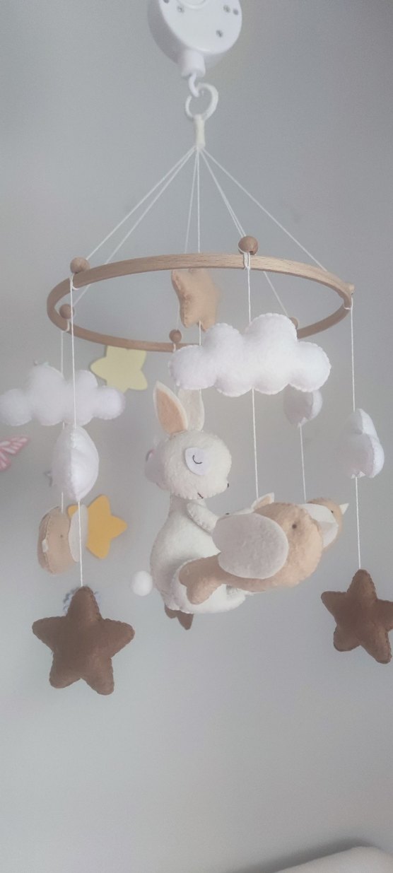 dönence - Görsel 3