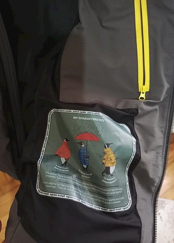 Gri Erkek Kapüşonlu Fermuarlı Mont - Görsel 5