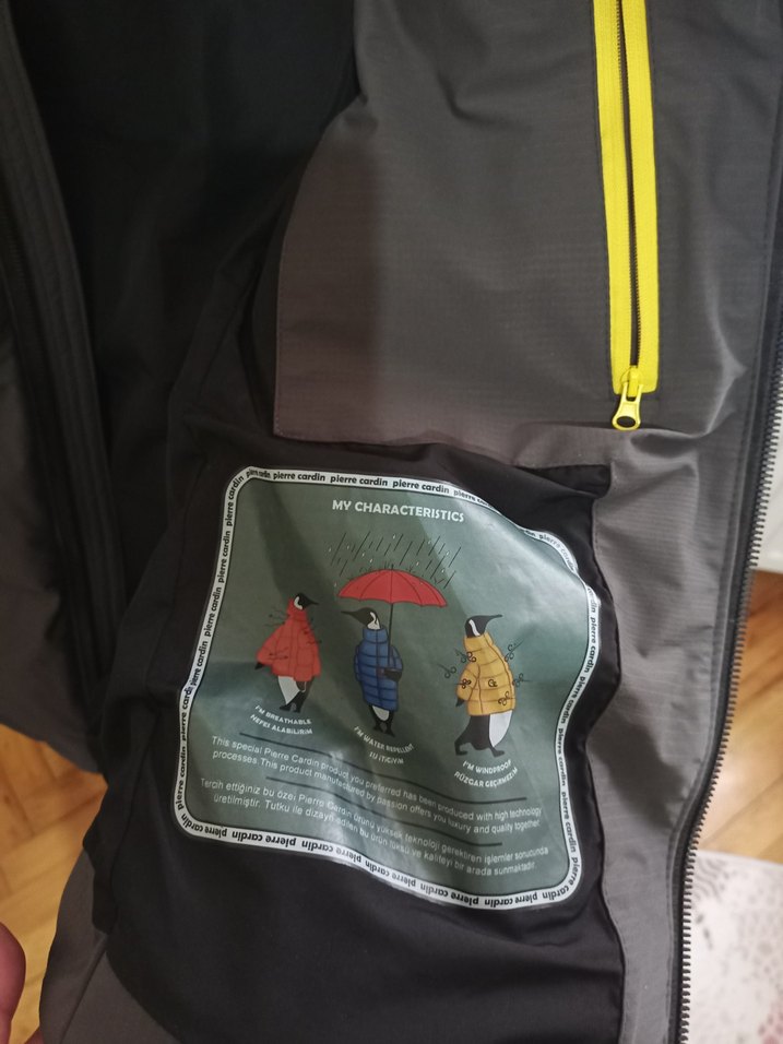 Gri Erkek Kapüşonlu Fermuarlı Mont - Görsel 5