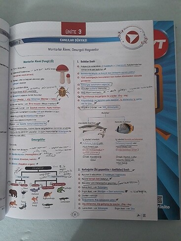 Beden tyt fen bilimleri(garanti konular)