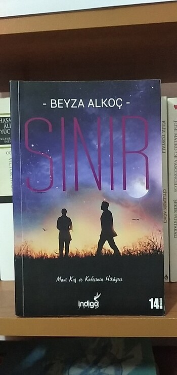 SINIR BEYZA ALKOC KİTAP 