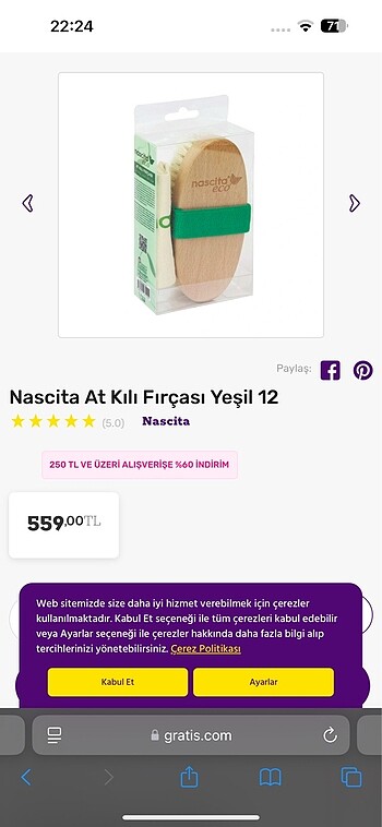 At kılı fırçası - Görsel 3