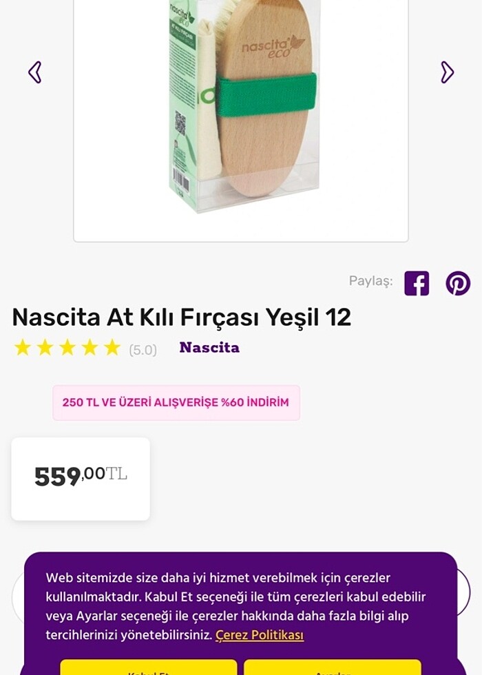 At kılı fırçası - Görsel 3