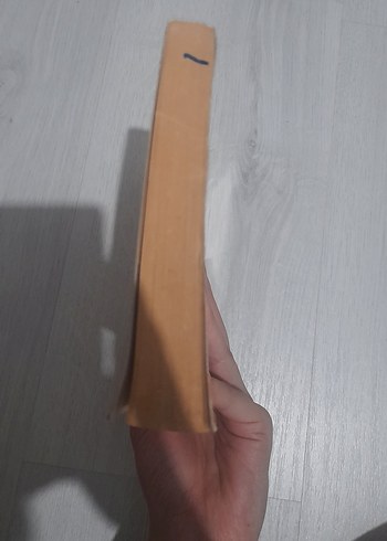 Mısralarla Konuşsak - Ayla Ağabegüm - Görsel 6