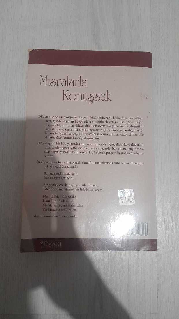 Mısralarla Konuşsak - Ayla Ağabegüm - Görsel 2