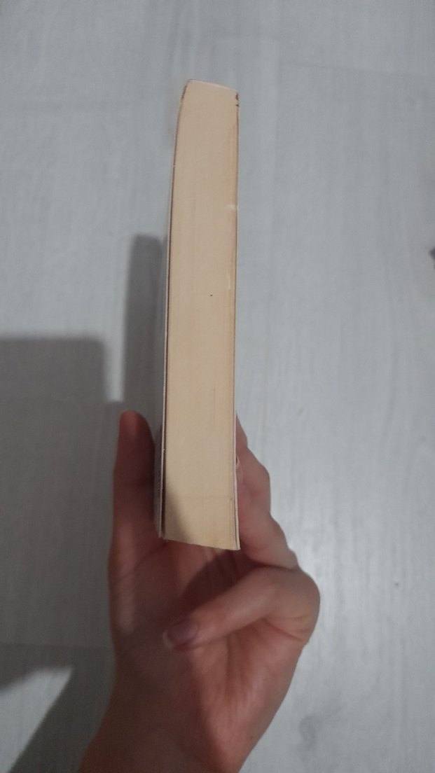 Dede Korkut Hikayeleri - Kitab-ı Dedem Korkut - Görsel 5