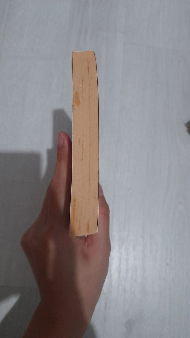 Dede Korkut Hikayeleri - Kitab-ı Dedem Korkut - Görsel 4