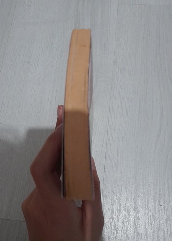 Ateşten Gömlek - Halide Edib Adıvar - Görsel 4