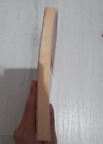 Ateşten Gömlek - Halide Edib Adıvar - Görsel 3