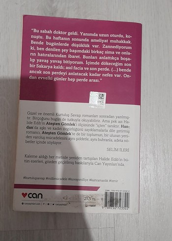 Ateşten Gömlek - Halide Edib Adıvar - Görsel 2