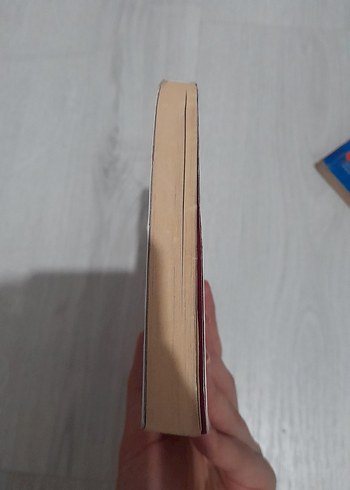 Ateşten Gömlek - Halide Edib Adıvar - Görsel 5