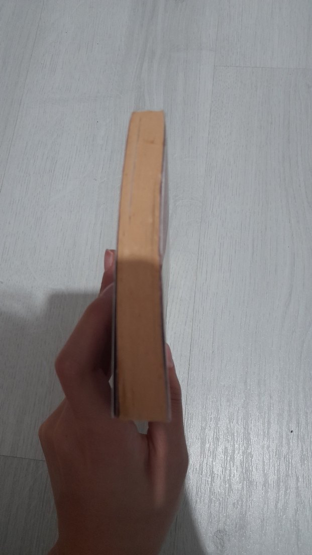 Ateşten Gömlek - Halide Edib Adıvar - Görsel 4