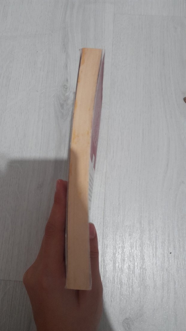 Ateşten Gömlek - Halide Edib Adıvar - Görsel 3