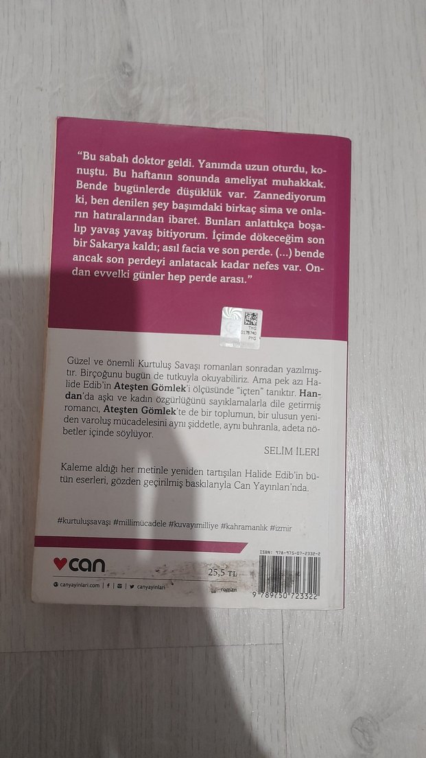 Ateşten Gömlek - Halide Edib Adıvar - Görsel 2