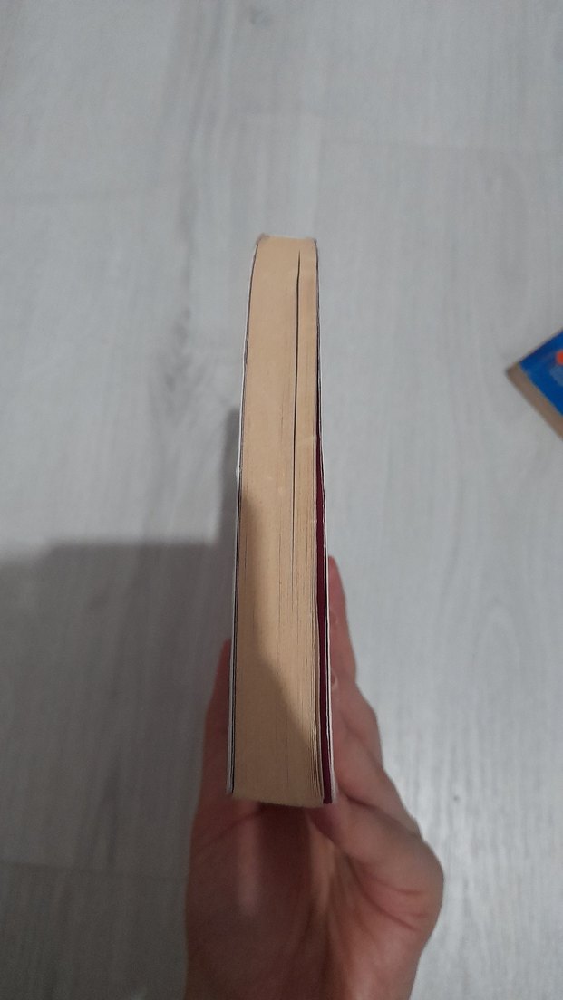 Ateşten Gömlek - Halide Edib Adıvar - Görsel 5