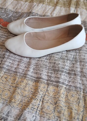 37 Beden Pierce cardin babet