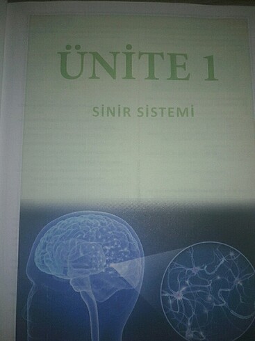  Beden FUNDAMENTALS AYT SORU BANKASI 