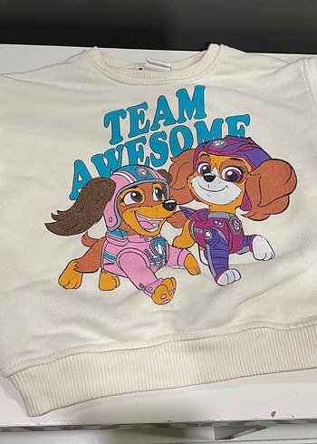 Paw patrol takım - Görsel 2