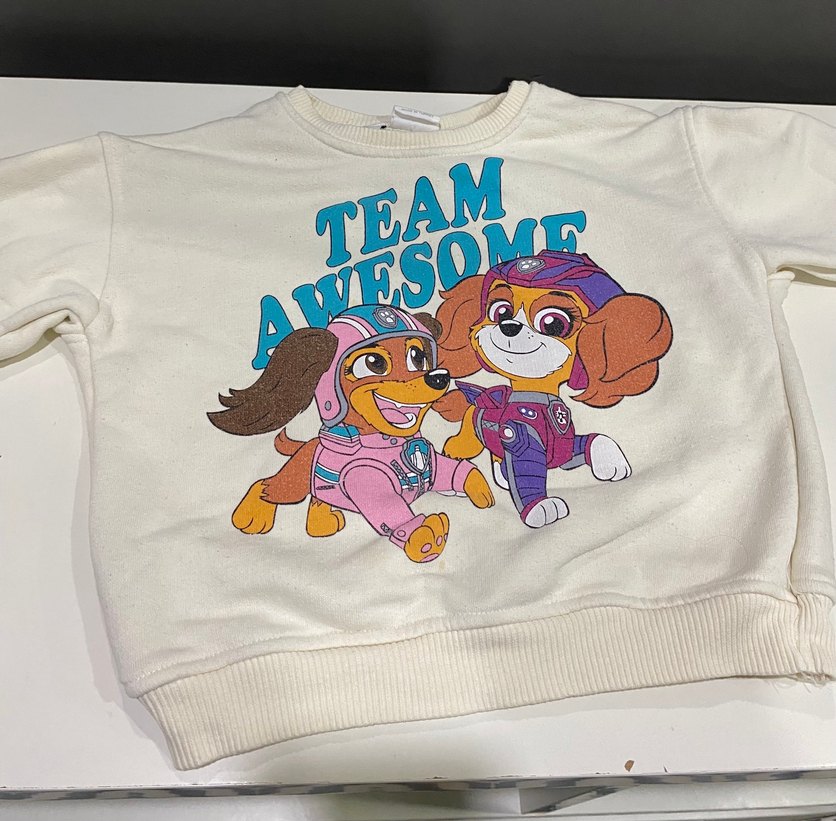 Paw patrol takım - Görsel 2