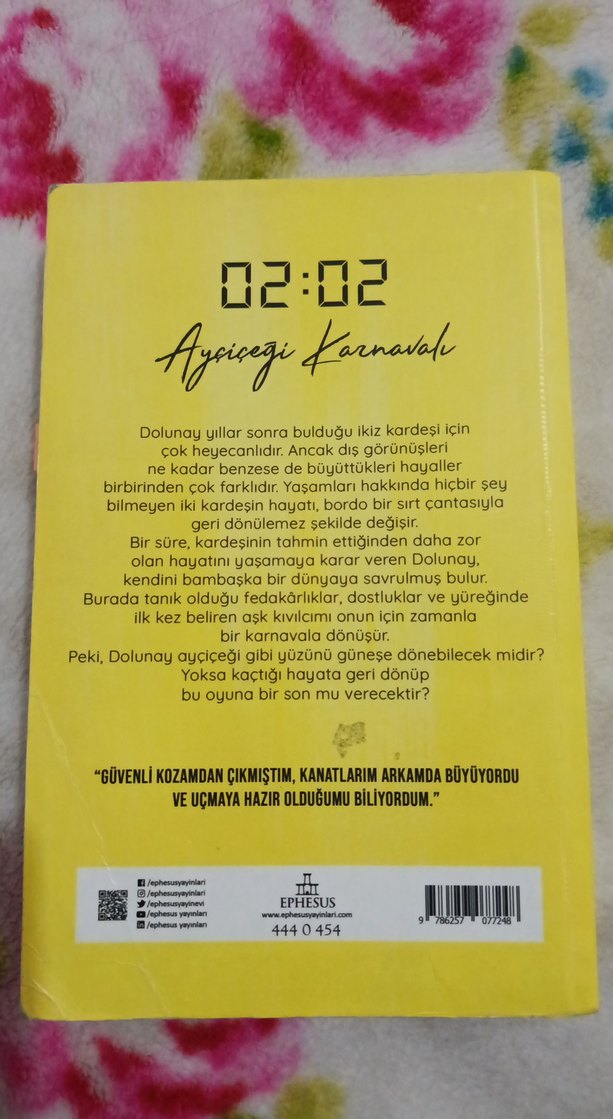 Ayçiçeği Karnaval Romanı - N.G. Kabal - Görsel 2